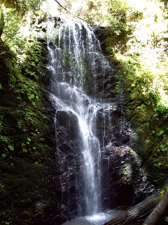 IMGP0962